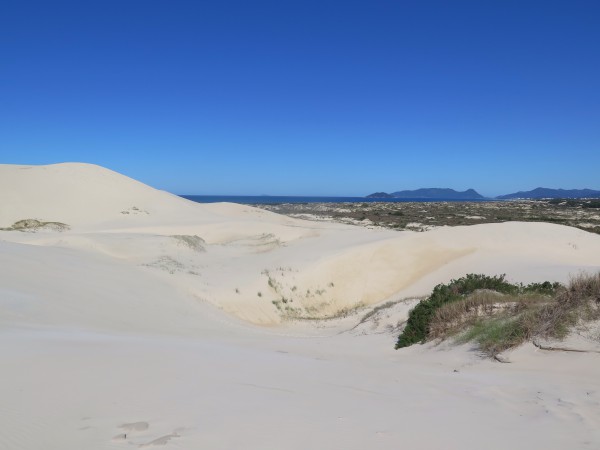 Dunes of Praia da Joaquina